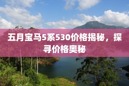 五月寶馬5系530價(jià)格揭秘，探尋價(jià)格奧秘