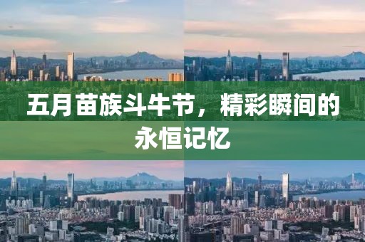 五月苗族斗牛節(jié)，精彩瞬間的永恒記憶