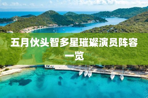 五月伙頭智多星璀璨演員陣容一覽