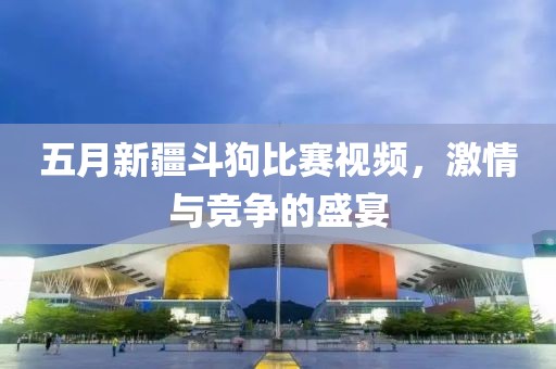 五月新疆斗狗比賽視頻，激情與競(jìng)爭(zhēng)的盛宴