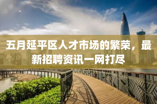 五月延平區(qū)人才市場的繁榮，最新招聘資訊一網(wǎng)打盡