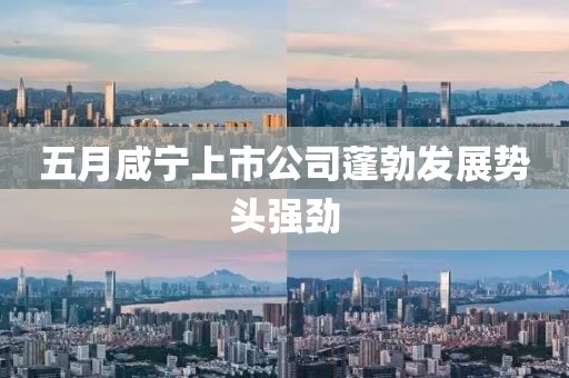 五月咸寧上市公司蓬勃發(fā)展勢頭強勁