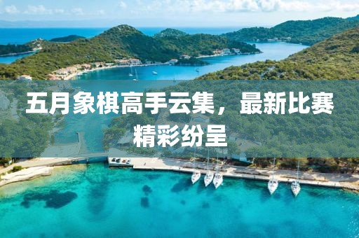 五月象棋高手云集，最新比賽精彩紛呈