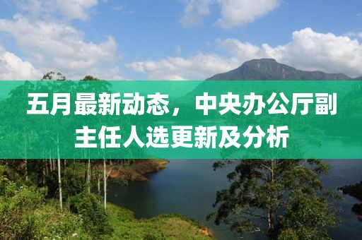 五月最新動態(tài)，中央辦公廳副主任人選更新及分析