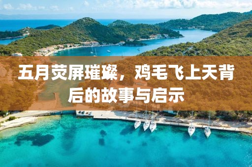 五月熒屏璀璨，雞毛飛上天背后的故事與啟示