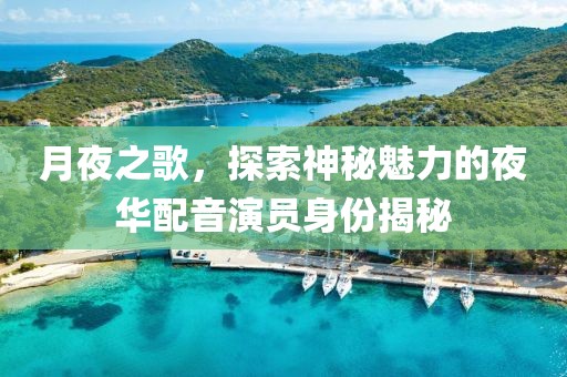 月夜之歌，探索神秘魅力的夜華配音演員身份揭秘