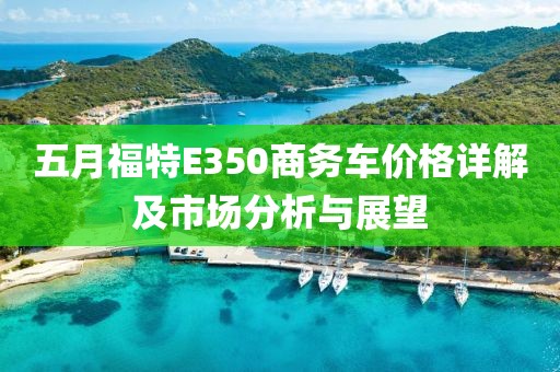 五月福特E350商務(wù)車價(jià)格詳解及市場(chǎng)分析與展望