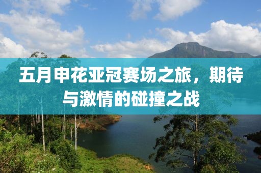 五月申花亞冠賽場之旅，期待與激情的碰撞之戰(zhàn)