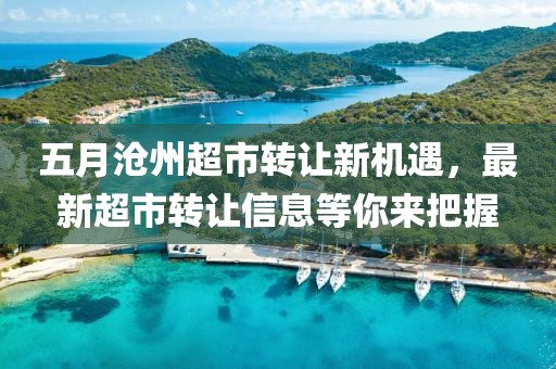 五月滄州超市轉讓新機遇，最新超市轉讓信息等你來把握