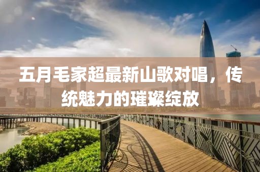 五月毛家超最新山歌對唱，傳統(tǒng)魅力的璀璨綻放