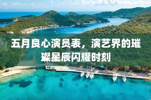 五月良心演員表，演藝界的璀璨星辰閃耀時刻
