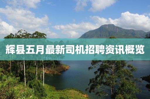 輝縣五月最新司機(jī)招聘資訊概覽