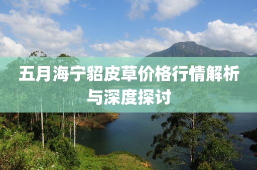 五月海寧貂皮草價(jià)格行情解析與深度探討