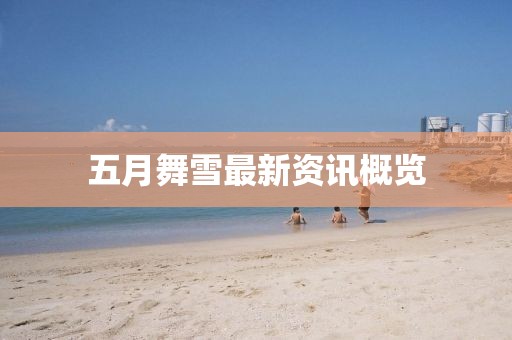 五月舞雪最新資訊概覽