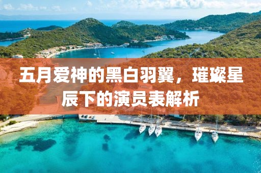 五月愛神的黑白羽翼，璀璨星辰下的演員表解析