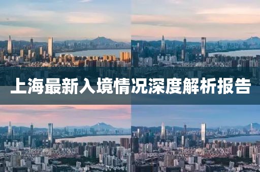 上海最新入境情況深度解析報告