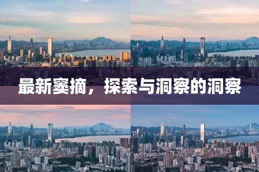 最新竇摘，探索與洞察的洞察