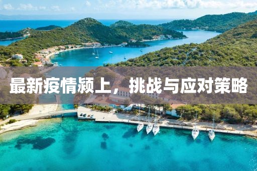 最新疫情潁上，挑戰(zhàn)與應(yīng)對(duì)策略