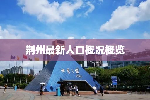荊州最新人口概況概覽