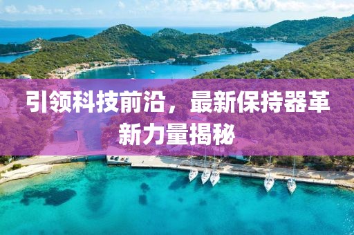 引領(lǐng)科技前沿，最新保持器革新力量揭秘