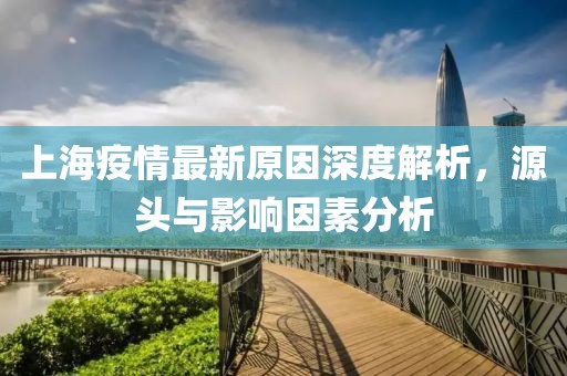 上海疫情最新原因深度解析，源頭與影響因素分析