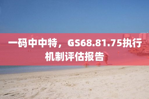 一碼中中特，GS68.81.75執(zhí)行機(jī)制評估報告