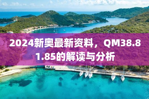 2024新奧最新資料，QM38.81.85的解讀與分析