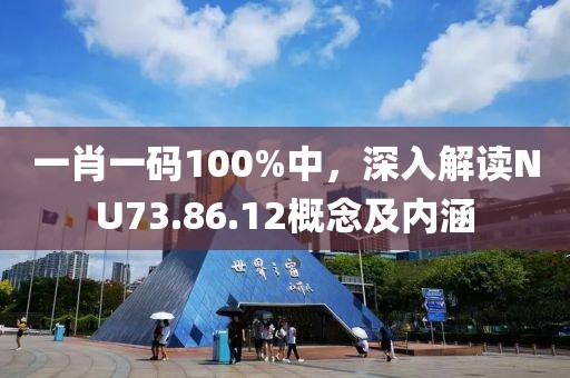 一肖一碼100%中，深入解讀NU73.86.12概念及內(nèi)涵