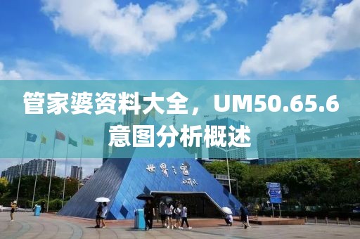 管家婆資料大全，UM50.65.6意圖分析概述