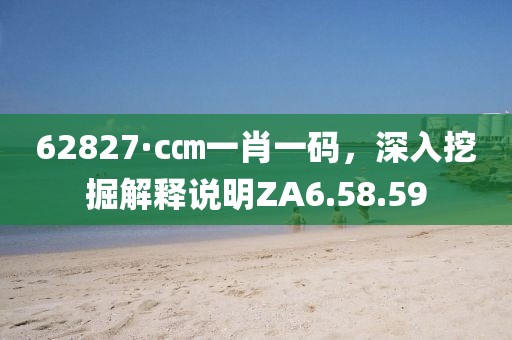 62827·c㎝一肖一碼，深入挖掘解釋說(shuō)明ZA6.58.59