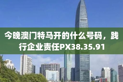 今晚澳門(mén)特馬開(kāi)的什么號(hào)碼，踐行企業(yè)責(zé)任PX38.35.91