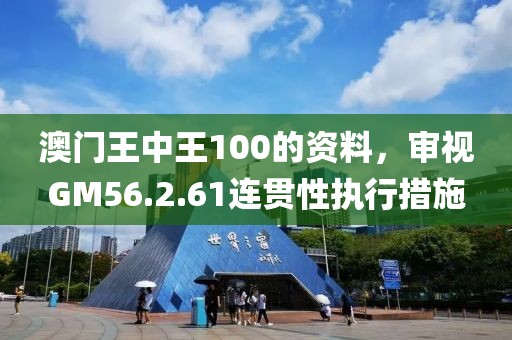 澳門王中王100的資料，審視GM56.2.61連貫性執(zhí)行措施