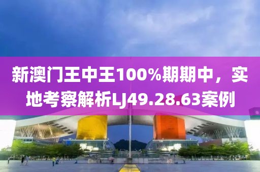 新澳門王中王100%期期中，實(shí)地考察解析LJ49.28.63案例