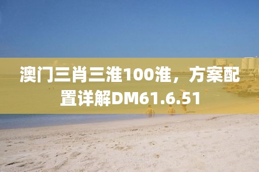 澳門三肖三淮100淮，方案配置詳解DM61.6.51