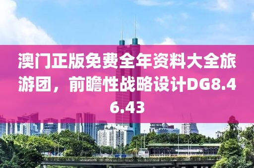 澳門正版免費全年資料大全旅游團，前瞻性戰(zhàn)略設(shè)計DG8.46.43
