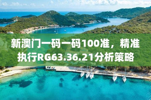 新澳門一碼一碼100準(zhǔn)，精準(zhǔn)執(zhí)行RG63.36.21分析策略