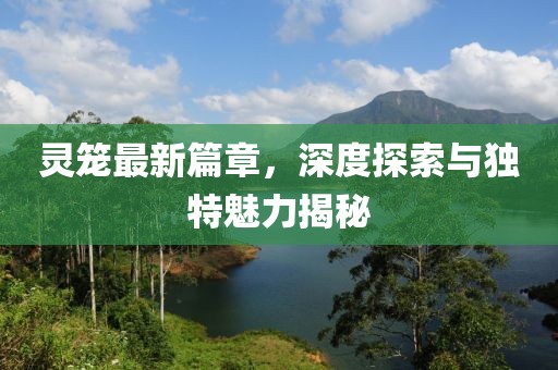 靈籠最新篇章，深度探索與獨(dú)特魅力揭秘