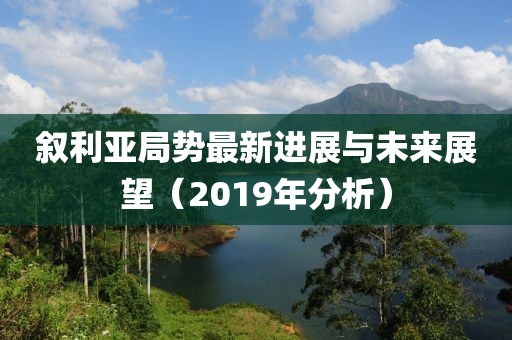 敘利亞局勢最新進(jìn)展與未來展望（2019年分析）
