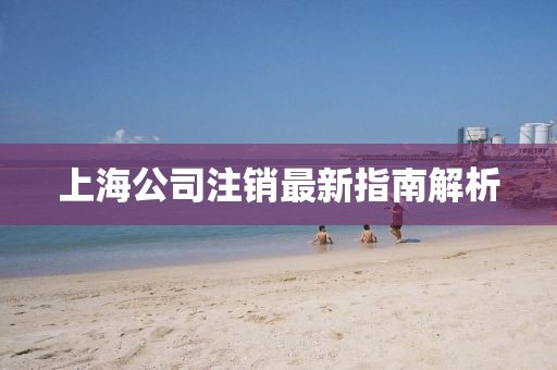 上海公司注銷最新指南解析