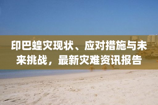 印巴蝗災(zāi)現(xiàn)狀、應(yīng)對措施與未來挑戰(zhàn)，最新災(zāi)難資訊報告