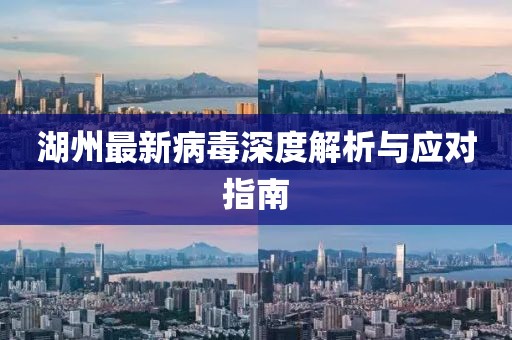 湖州最新病毒深度解析與應(yīng)對指南