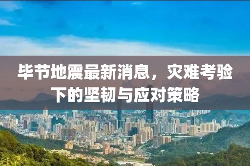 畢節(jié)地震最新消息，災(zāi)難考驗下的堅韌與應(yīng)對策略
