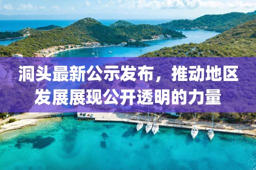 洞頭最新公示發(fā)布，推動(dòng)地區(qū)發(fā)展展現(xiàn)公開(kāi)透明的力量