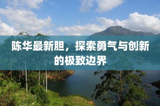 陳華最新膽，探索勇氣與創(chuàng)新的極致邊界