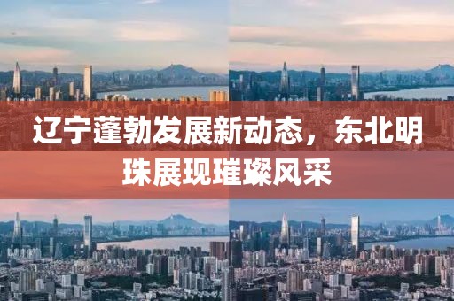 遼寧蓬勃發(fā)展新動態(tài)，東北明珠展現(xiàn)璀璨風(fēng)采