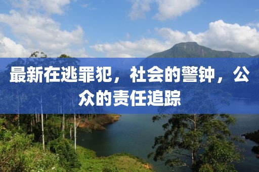 坑蒙拐騙專業(yè)戶 第20頁
