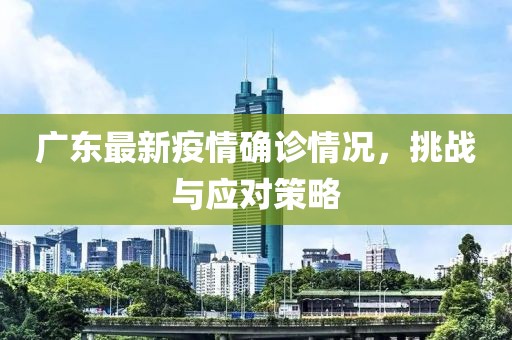 廣東最新疫情確診情況，挑戰(zhàn)與應(yīng)對(duì)策略