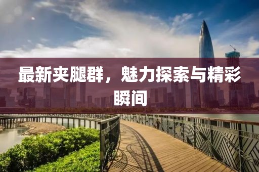 最新夾腿群，魅力探索與精彩瞬間