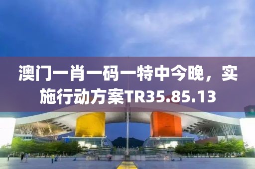 澳門一肖一碼一特中今晚，實(shí)施行動(dòng)方案TR35.85.13