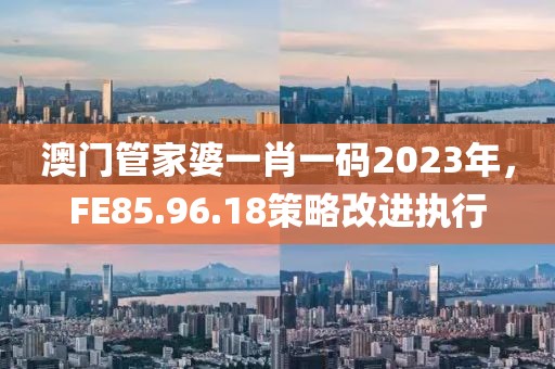 澳門管家婆一肖一碼2023年，F(xiàn)E85.96.18策略改進(jìn)執(zhí)行